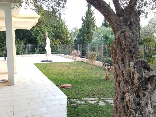 20160903_181354 (Copy)